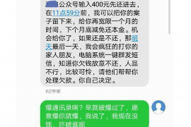 振安为什么选择专业追讨公司来处理您的债务纠纷？